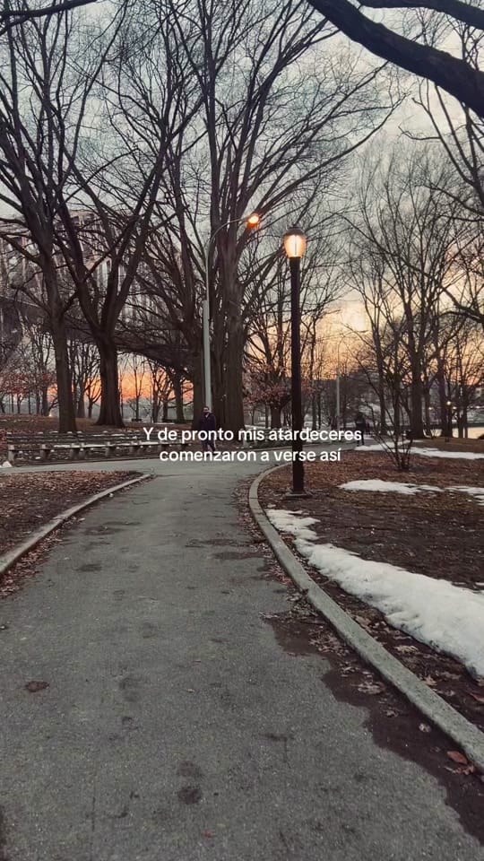 Post 2 by deargusy on TikTok (video)