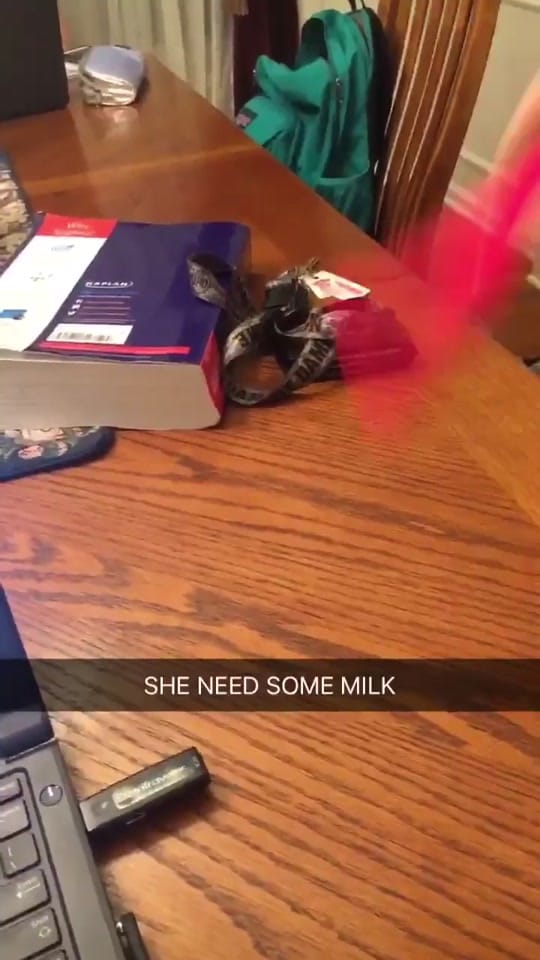 Post 10 by brynn whiting | photographer on TikTok (video)