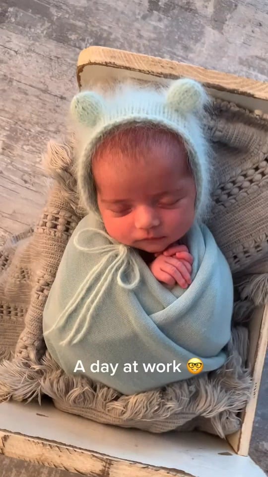 Post 8 by Vanessa Palmer on TikTok (video)