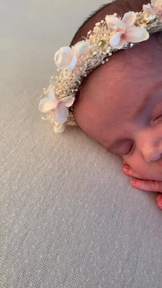 Post 1 by Vanessa Palmer on TikTok (video)