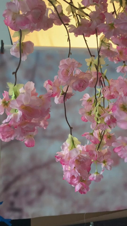 Post 3 by Vanessa Palmer on TikTok (video)