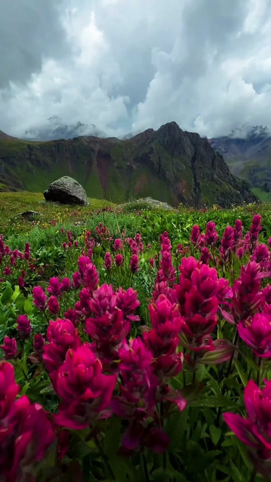 Post 9 by Kevin Frith on TikTok (video)