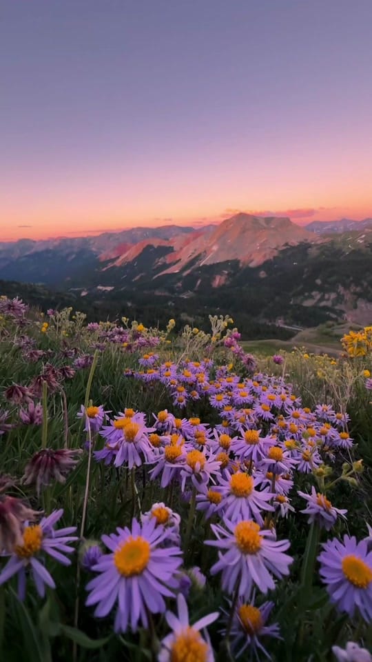 Post 10 by Kevin Frith on TikTok (video)