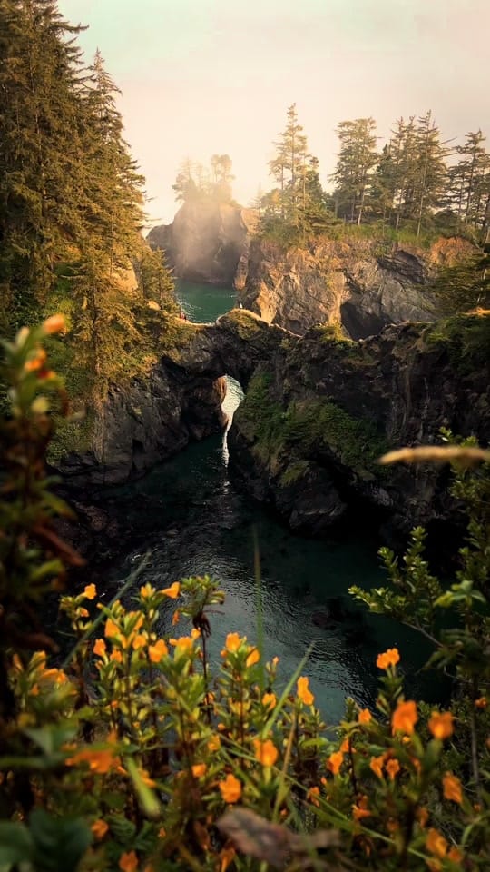 Post 2 by Kevin Frith on TikTok (video)