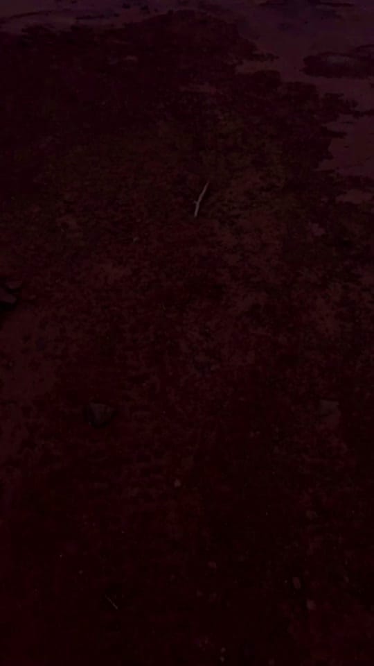 Post 1 by Kevin Frith on TikTok (video)