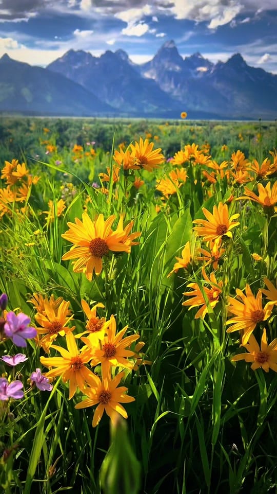 Post 6 by Kevin Frith on TikTok (video)