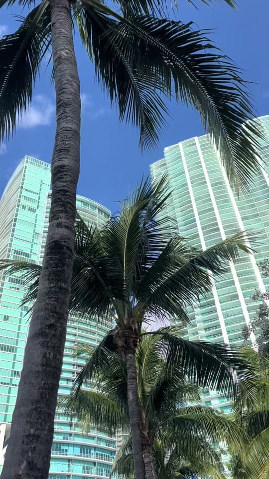 Post 9 by siddarthakreaden on TikTok (video)