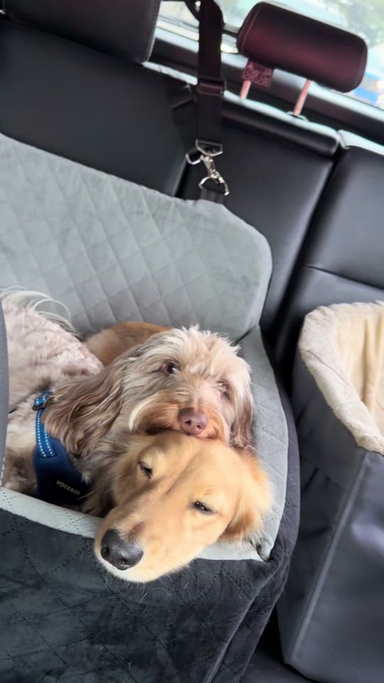 Post 1 by siddarthakreaden on TikTok (video)