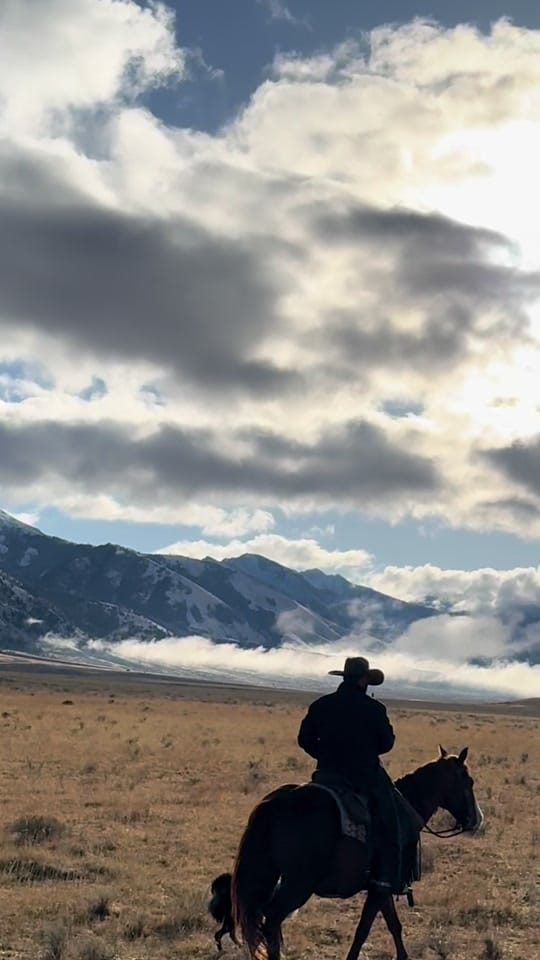 Post 8 by CowgirlKessler on TikTok (video)