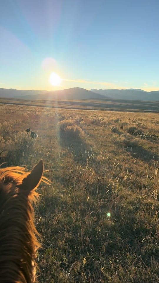 Post 1 by CowgirlKessler on TikTok (video)