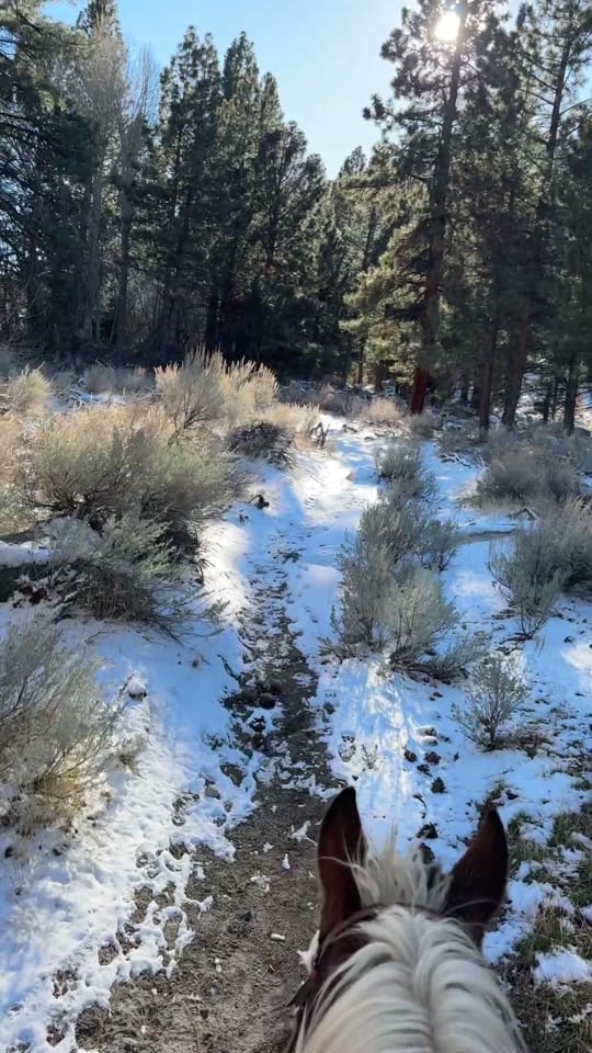 Post 7 by CowgirlKessler on TikTok (video)