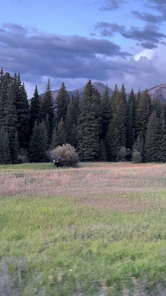 Post 6 by CowgirlKessler on TikTok (video)