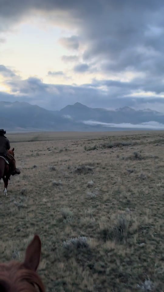 Post 4 by CowgirlKessler on TikTok (video)