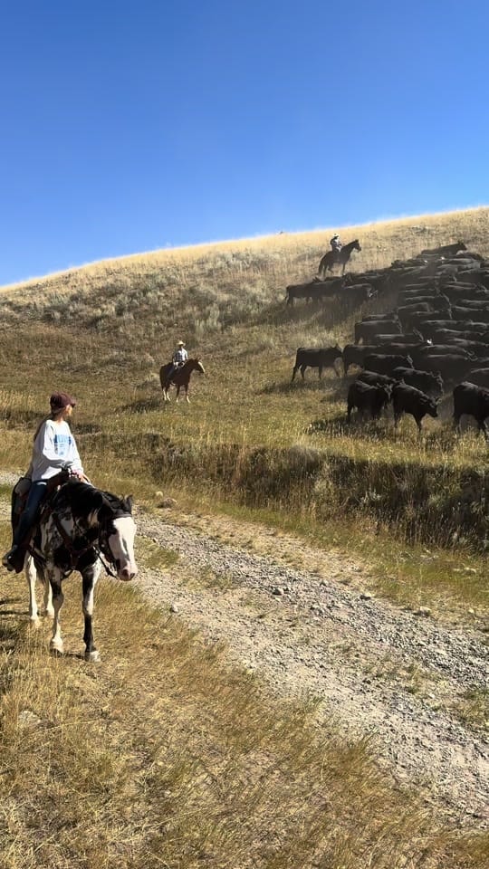 Post 10 by CowgirlKessler on TikTok (video)