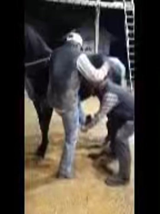 Post 1 by Josh Brasher on TikTok (video)