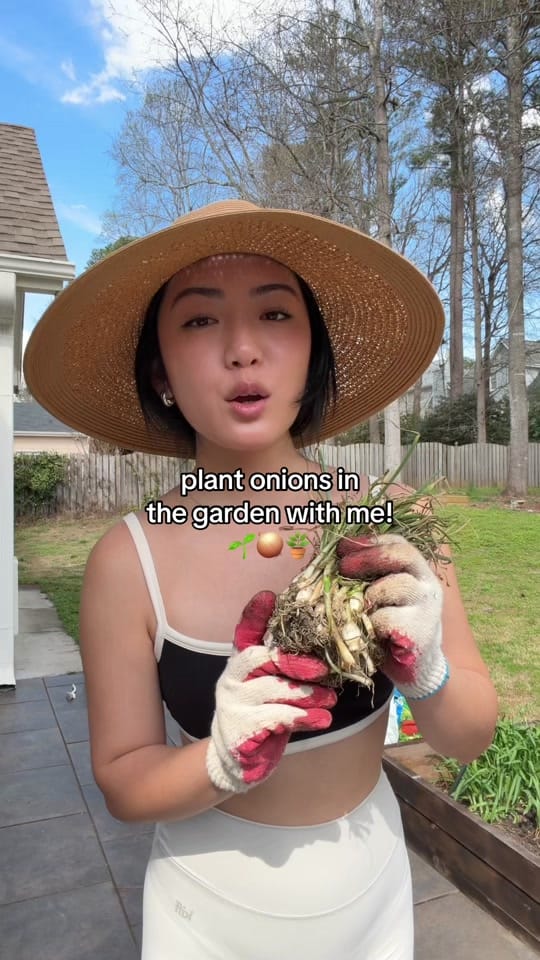 Post 5 by Brenda Chan on TikTok (video)