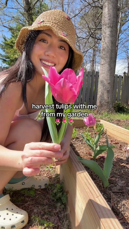 Post 1 by Brenda Chan on TikTok (video)