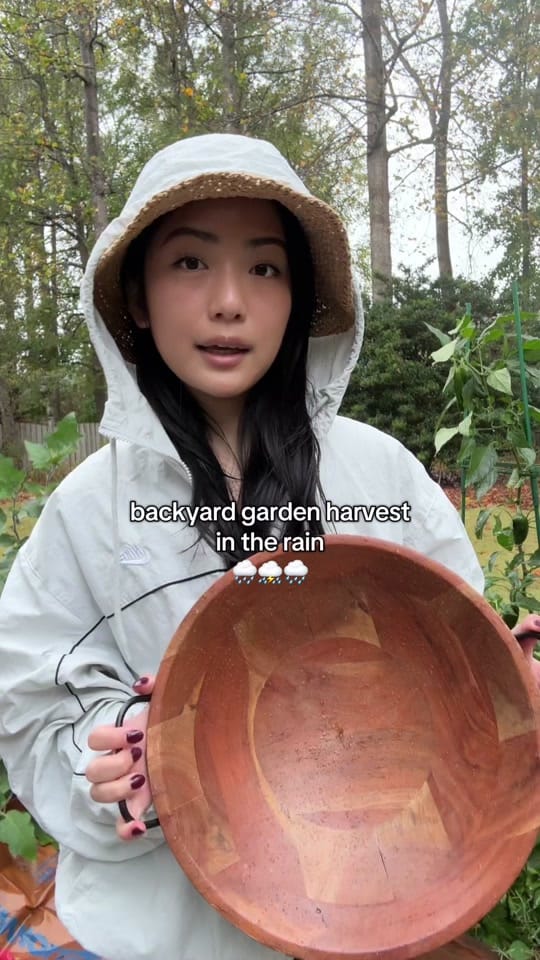 Post 10 by Brenda Chan on TikTok (video)