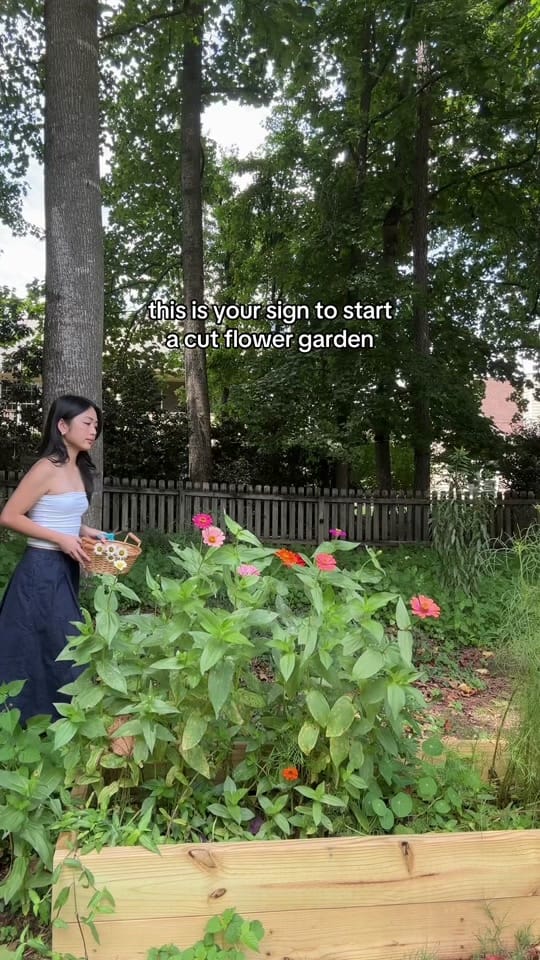 Post 7 by Brenda Chan on TikTok (video)