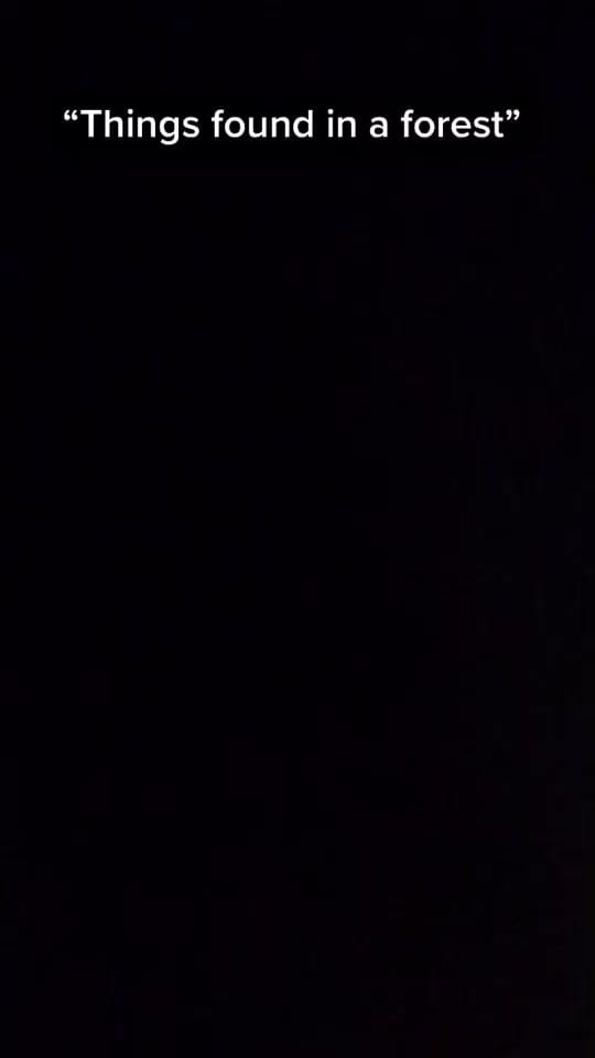 Post 10 by prismatic_sprinklesart on TikTok (video)