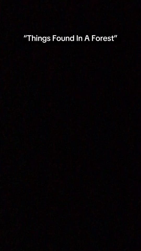 Post 1 by prismatic_sprinklesart on TikTok (video)