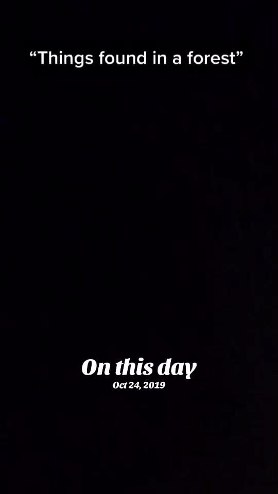Post 3 by prismatic_sprinklesart on TikTok (video)