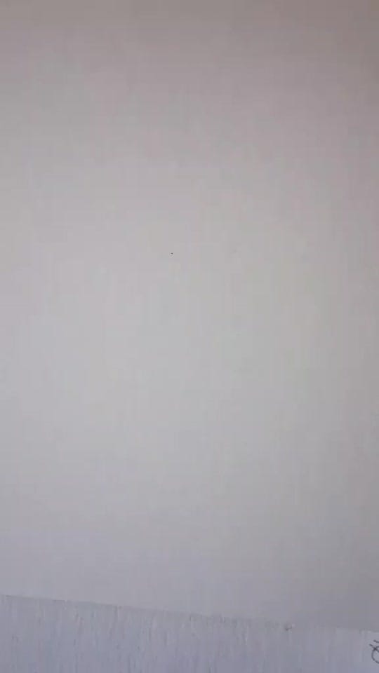 Post 5 by prismatic_sprinklesart on TikTok (video)