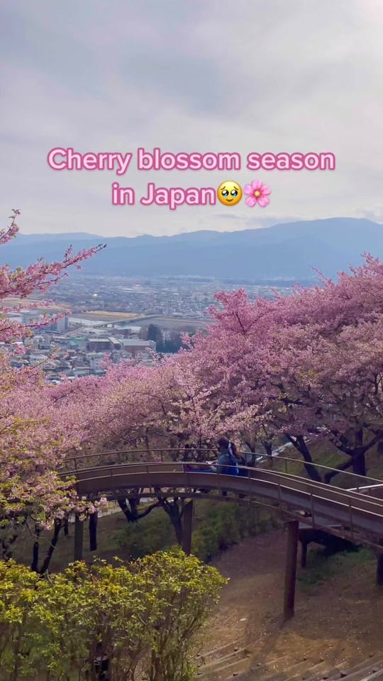 Post 9 by DayRae on TikTok (video)