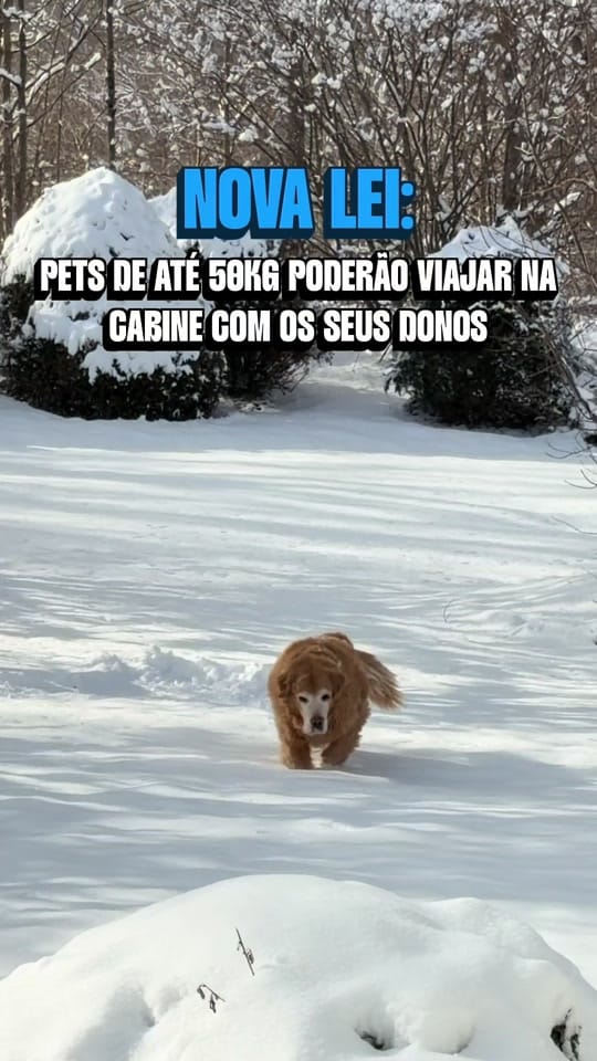 Post 2 by Paixao Por Viajar on TikTok (video)