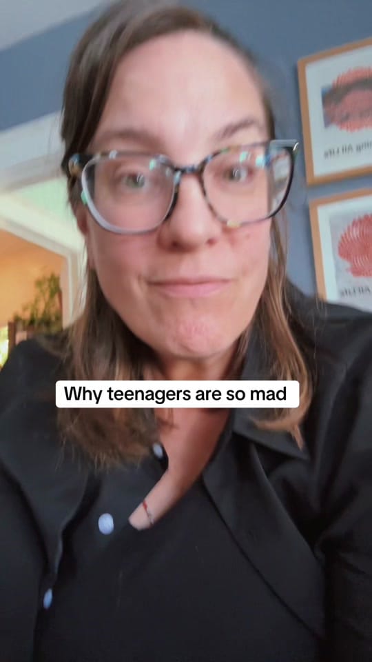 Post 8 by Julie 🌟Systems Gal on TikTok (video)