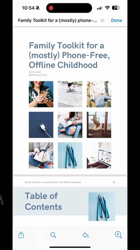 Post 9 by Julie 🌟Systems Gal on TikTok (video)