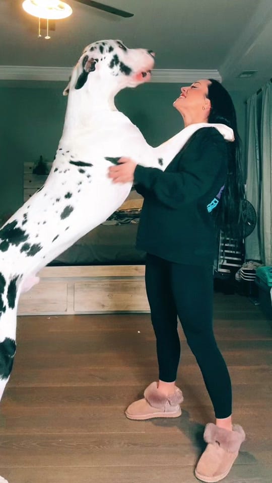 Post 2 by Allison Huppert on TikTok (video)