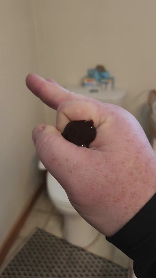 Post 10 by Ethan Monahan on TikTok (video)
