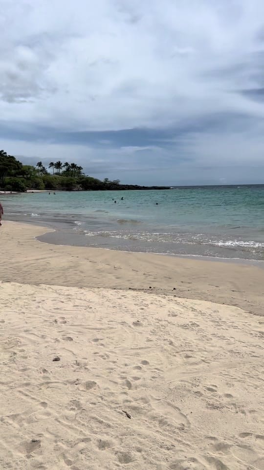 Post 1 by Alyssa on TikTok (video)