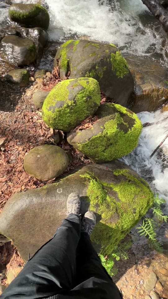 Post 6 by Justin Caesar on TikTok (video)
