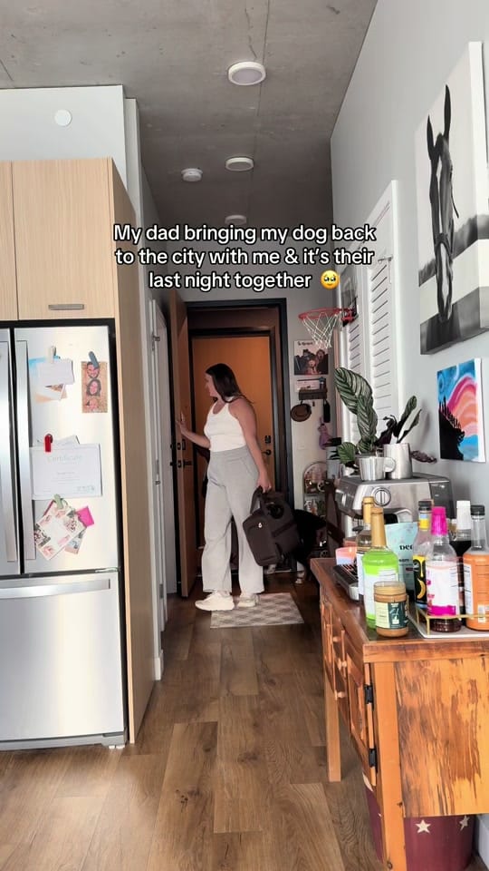 Post 6 by makenziecann on TikTok (video)