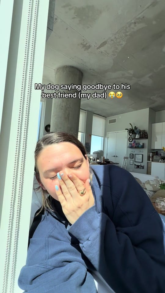 Post 3 by makenziecann on TikTok (video)
