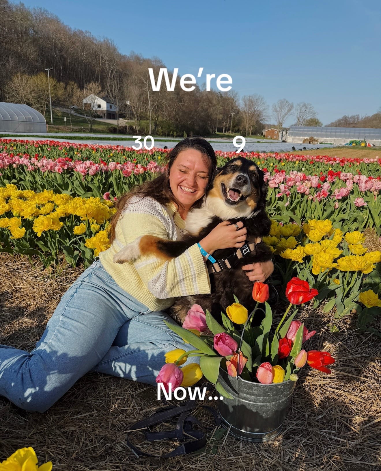 Post 5 by makenziecann on TikTok (video)
