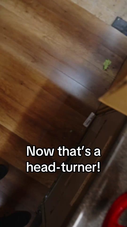 Post 2 by Chuck Levin’s on TikTok (video)