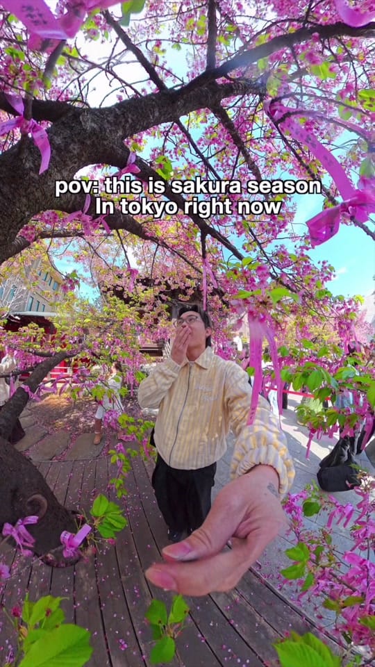 Post 3 by Ridge Hayashi on TikTok (video)