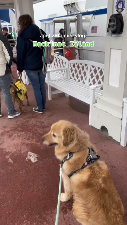 Post 1 by goodboymulligan on TikTok (video)