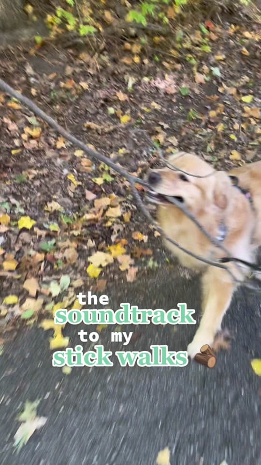 Post 7 by goodboymulligan on TikTok (video)