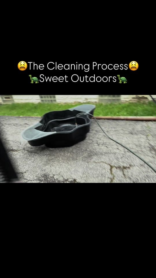 Post 2 by PIRANHA HEAD👑 on TikTok (video)