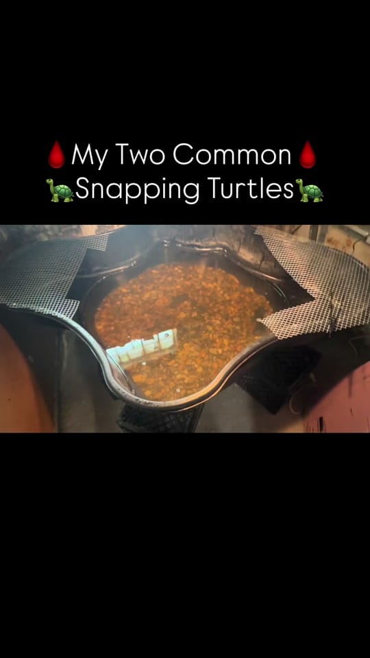 Post 3 by PIRANHA HEAD👑 on TikTok (video)