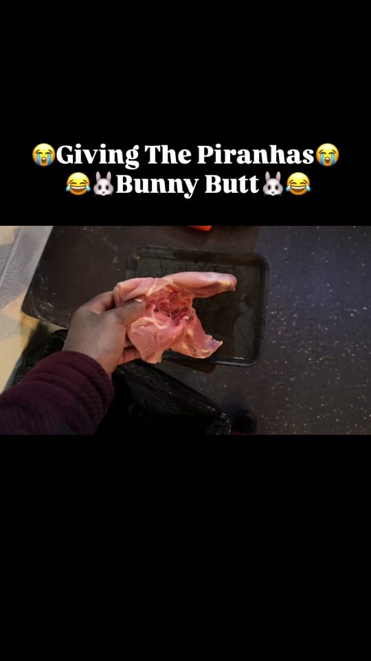 Post 9 by PIRANHA HEAD👑 on TikTok (video)