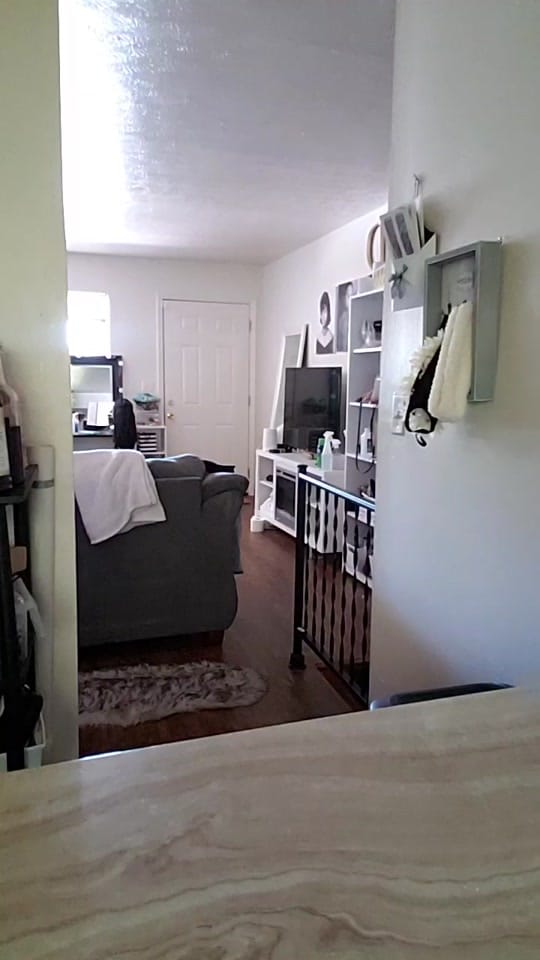 Post 9 by Storm on TikTok (video)