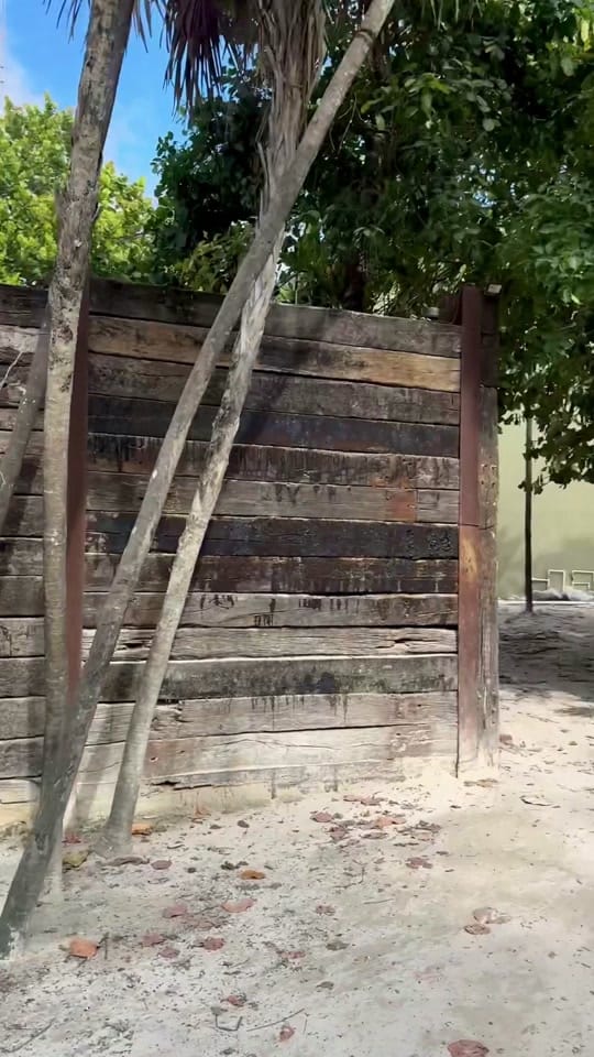Post 7 by Jayden Skye on TikTok (video)