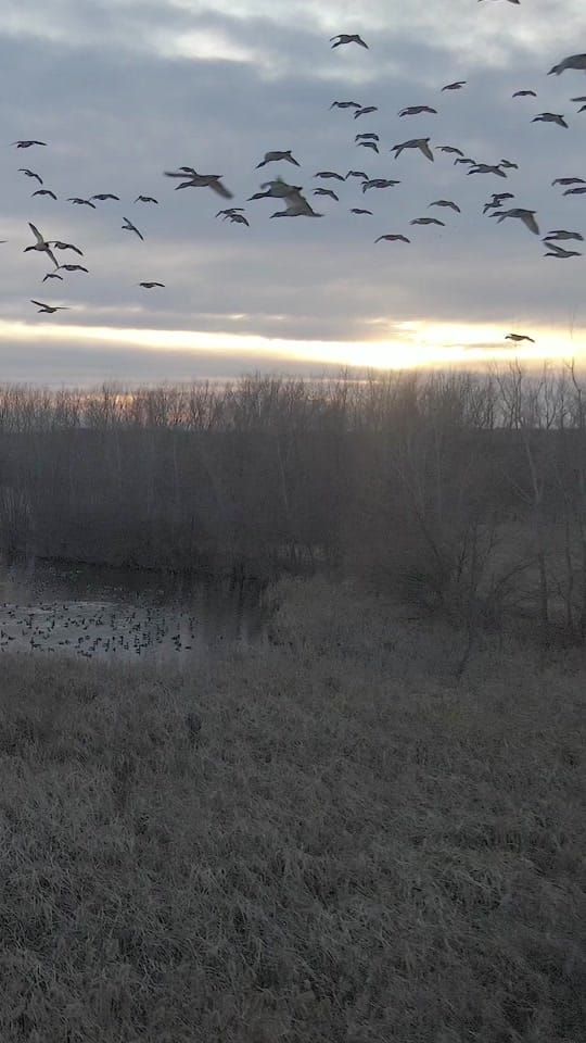 Post 10 by Matthew Ryan Bielski on TikTok (video)