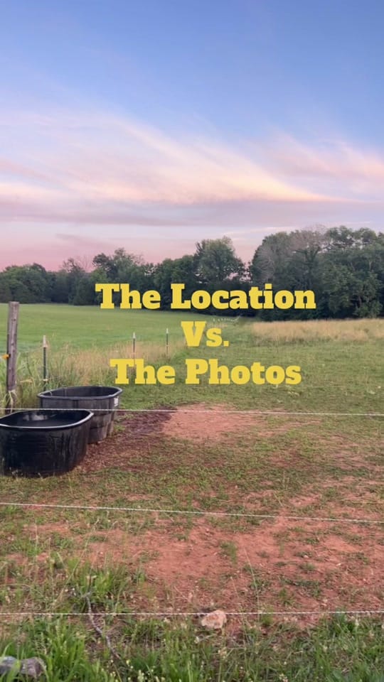 Post 9 by WilderSide_Media on TikTok (video)