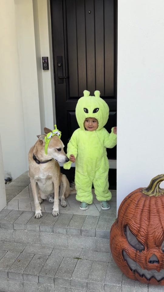 Post 2 by Catalina Robayo on TikTok (video)